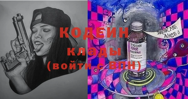 молекула духа Арсеньев