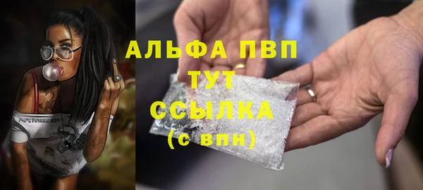 спиды Аркадак