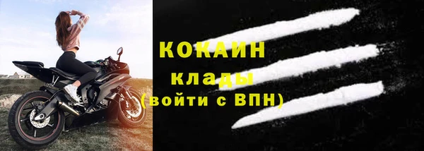 молекула духа Арсеньев