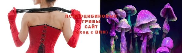 индика Армянск