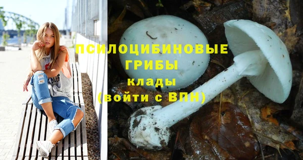 молекула духа Арсеньев