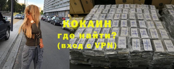 молекула духа Арсеньев