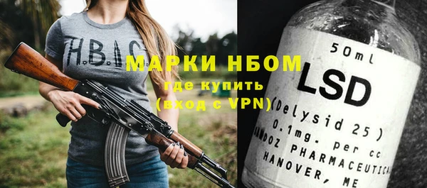 молекула духа Арсеньев