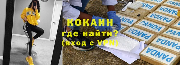 индика Армянск