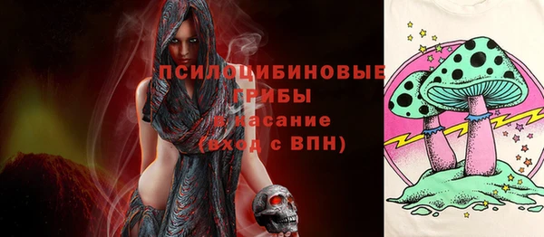 индика Армянск