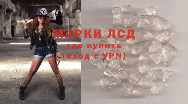 молекула духа Арсеньев