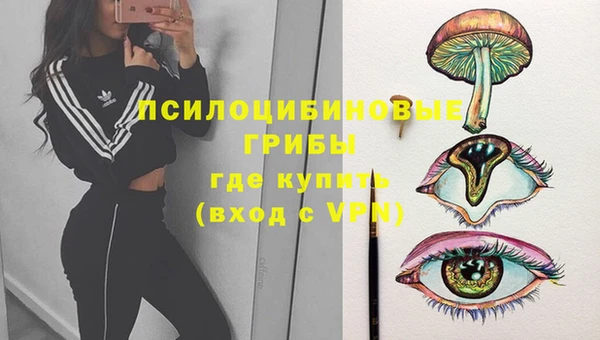 молекула духа Арсеньев